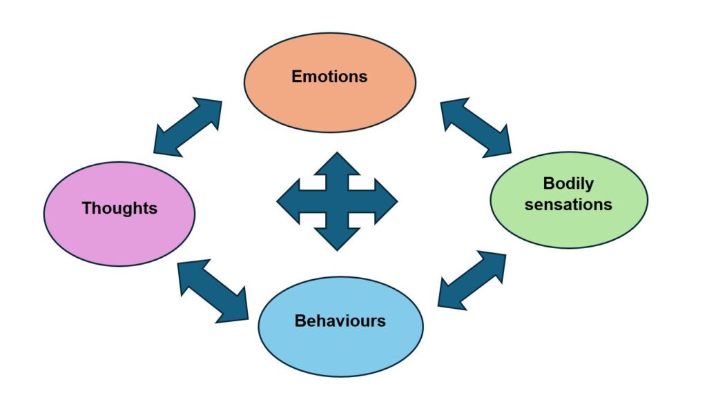 Thoughts, Feelings and Behaviours – The Polesworth School
