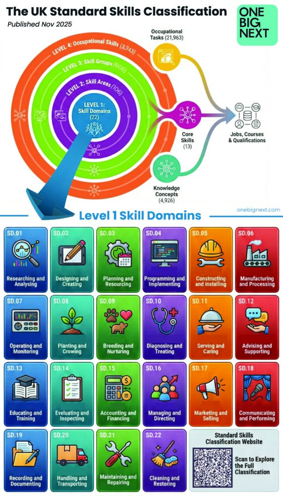 OneBIgNext_Standard_Skills_Classification_Infographic_PRINT_QUALITY